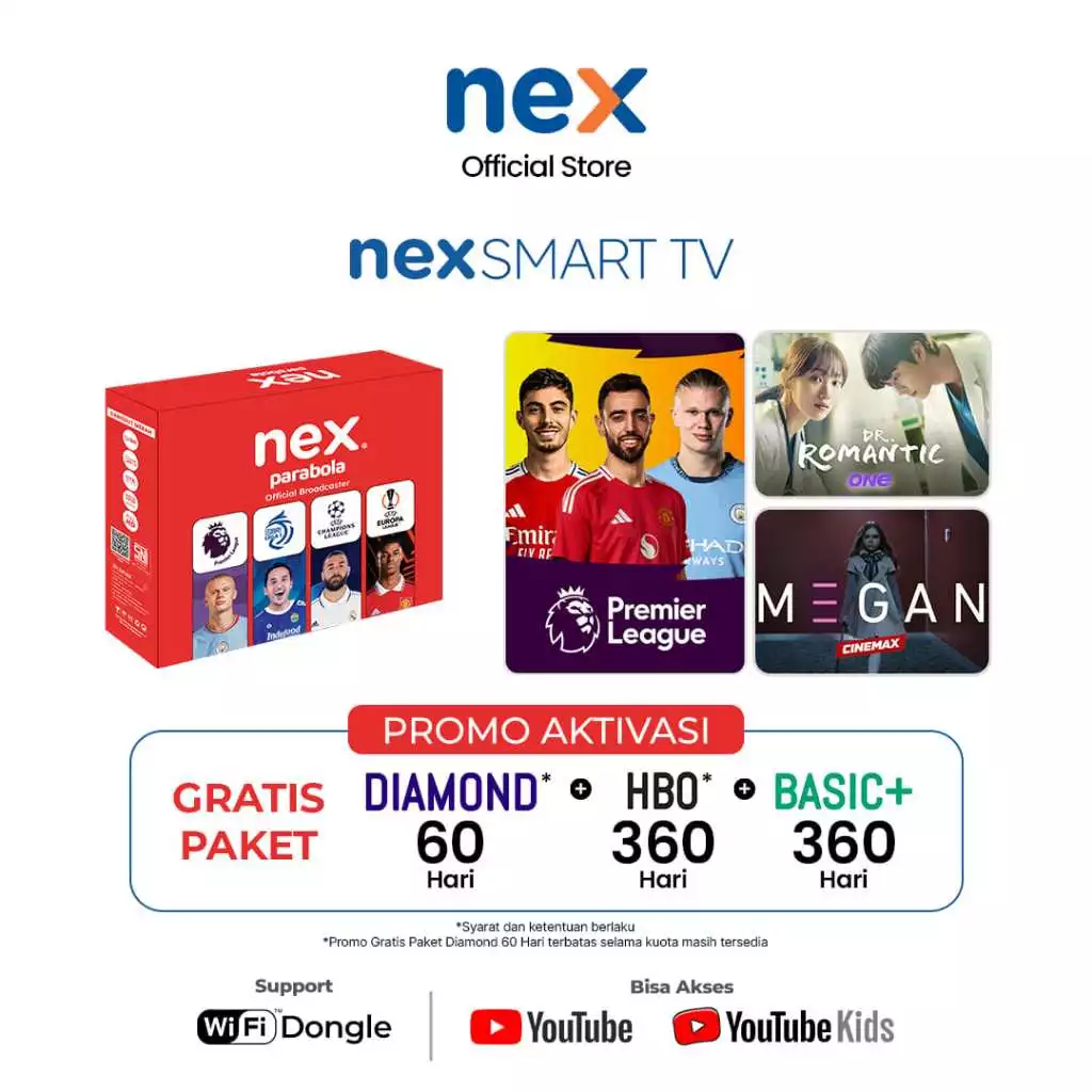 Receiver Nex Parabola Type Merah